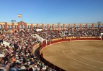 Nuevo zarpazo del tripartito a la libertad de los vinarocenses