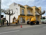Obres i Serveis poda los árboles de la avenida de Maria Auxiliadora