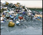 Romeu y Balada, están imputados por un presunto delito ambiental