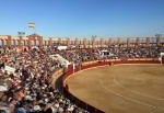 El tripartito cede  a la presión de la gente y renuncia a prohibir la entrada de los menores a la plaza de toros