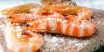 El Patronat de Turisme de Vinaròs i la Cambra de Comerç analitzen la qualitat de la gastronomia local